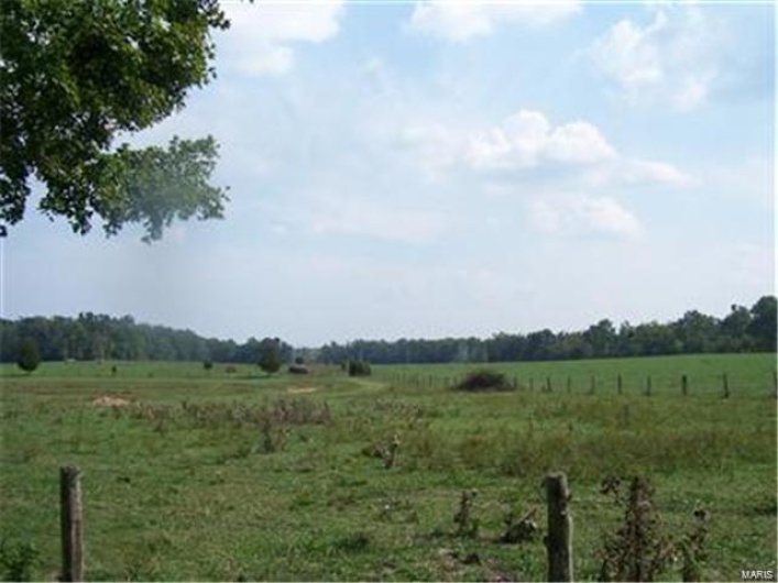 0 Hunt Road, Farmington, Missouri 63640, ,Farm,For Sale,Hunt,MAR9520659