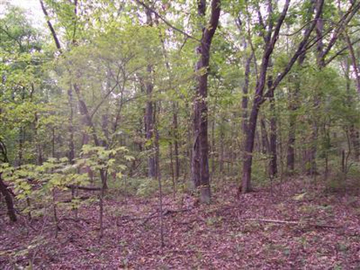 0 Outer Road, Farmington, Missouri 63640, ,Farm,For Sale,Outer,MAR9520669