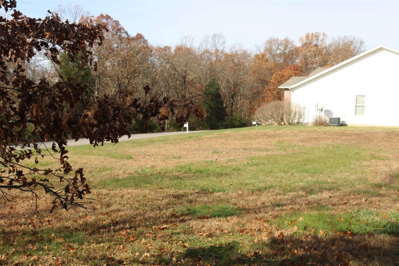 Lot 31 Luxor Landing Lane, Goreville, Illinois 62939, 0 , 0 ,0,Land,For Sale,Luxor Landing,0,RMAEB442264