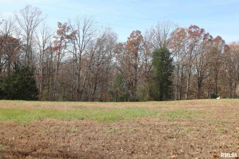 Lot 31 Luxor Landing Lane, Goreville, Illinois 62939, 0 , 0 ,0,Land,For Sale,Luxor Landing,0,RMAEB442264