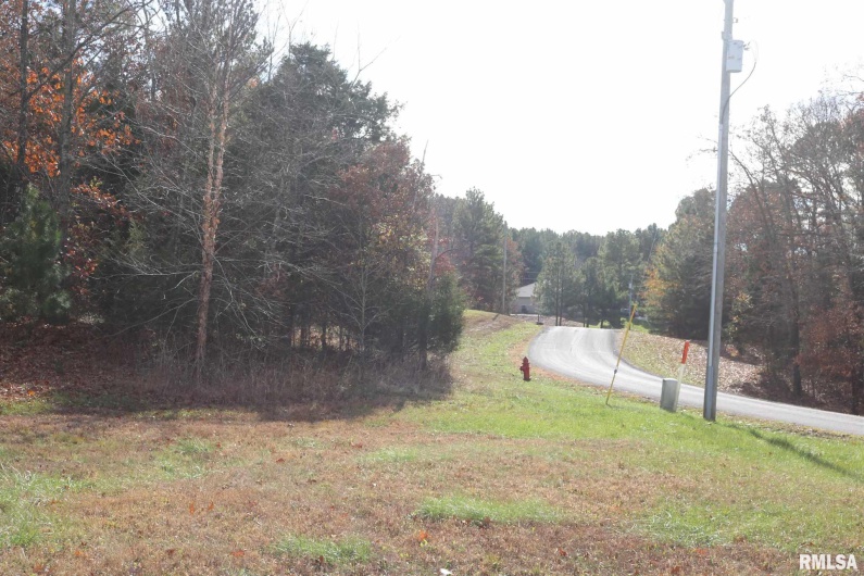 Lot 31 Luxor Landing Lane, Goreville, Illinois 62939, 0 , 0 ,0,Land,For Sale,Luxor Landing,0,RMAEB442264