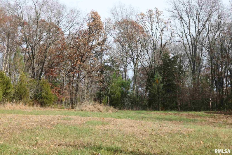 Lot 31 Luxor Landing Lane, Goreville, Illinois 62939, 0 , 0 ,0,Land,For Sale,Luxor Landing,0,RMAEB442264
