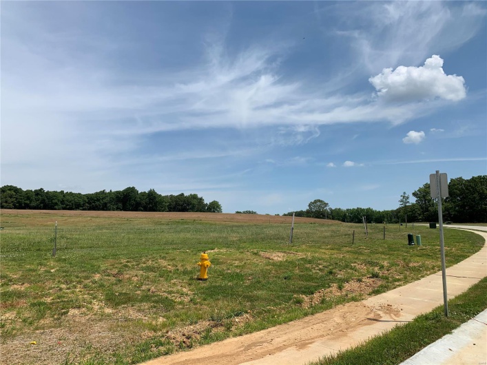 4533 Doe Run, Cape Girardeau, Missouri 63701, ,Land,For Sale,Doe Run,MAR20042770