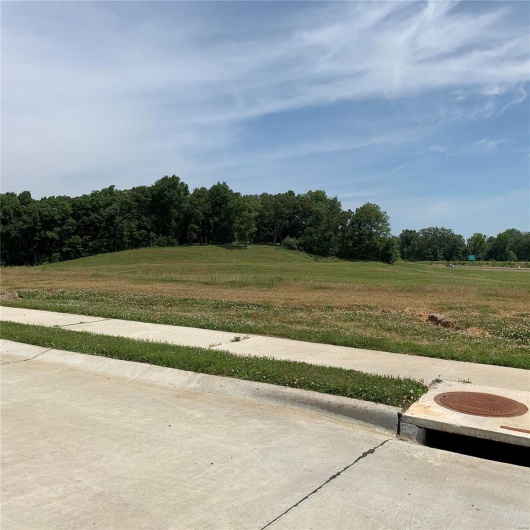 4533 Doe Run, Cape Girardeau, Missouri 63701, ,Land,For Sale,Doe Run,MAR20042770