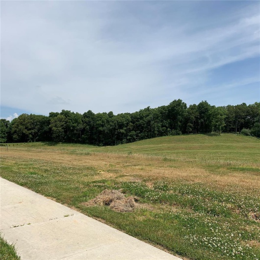 76 Payton Court, Cape Girardeau, Missouri 63701, ,Land,For Sale,Payton,MAR20042774