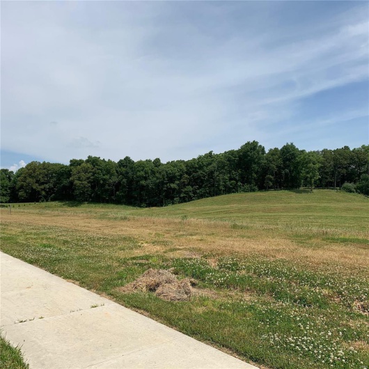 4576 Kingston Avenue, Cape Girardeau, Missouri 63701, ,Land,For Sale,Kingston,MAR20042355