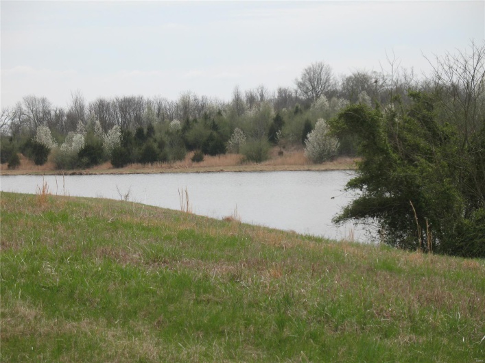 1708 Warren Lake Drive, Jackson, Missouri 63755, ,Land,For Sale,Warren Lake,MAR21042330
