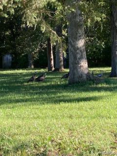 0 White Swan Park, Baldwin, Illinois 62217, ,Land,For Sale,White Swan Park,MAR17096895