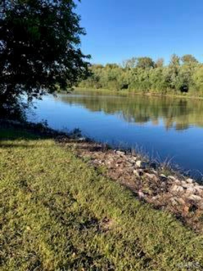 0 White Swan Park, Baldwin, Illinois 62217, ,Land,For Sale,White Swan Park,MAR17096895